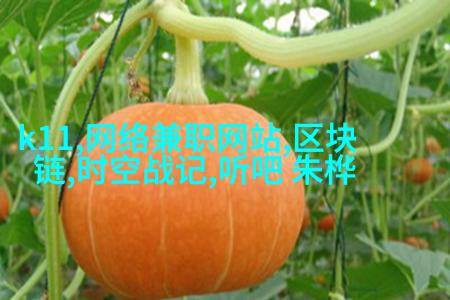 都市商务：西装外套 + 白衬衫