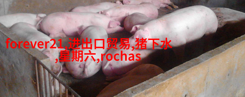 时尚穿搭男装图片