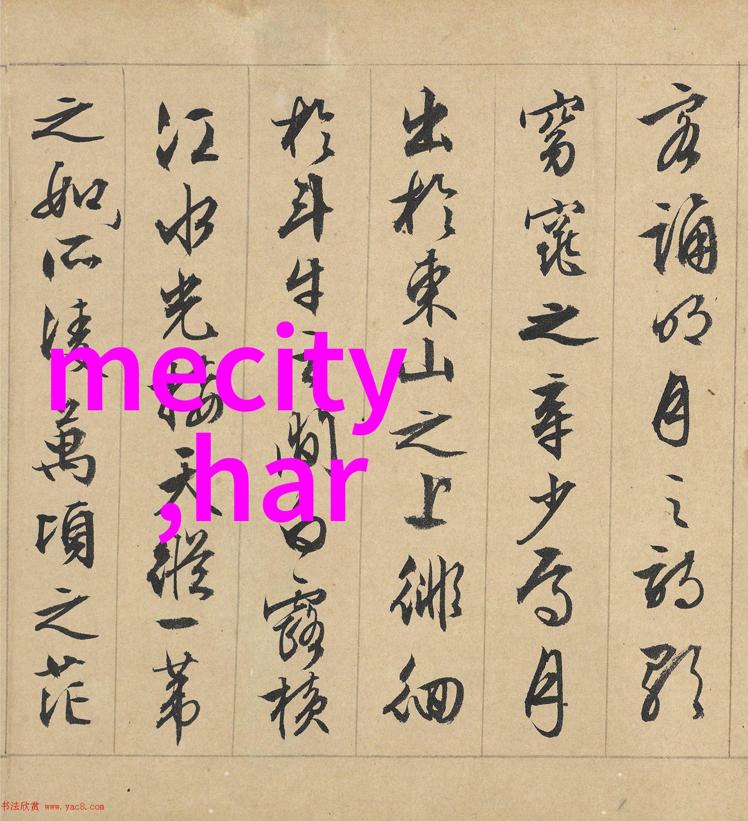 明星时尚闪耀舞台的华丽服装