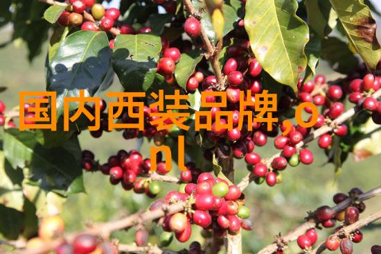 欧时力新款手表欧时力最新智能腕watch