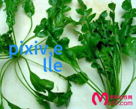 可靠还是危险分析杰凡尼这个角色