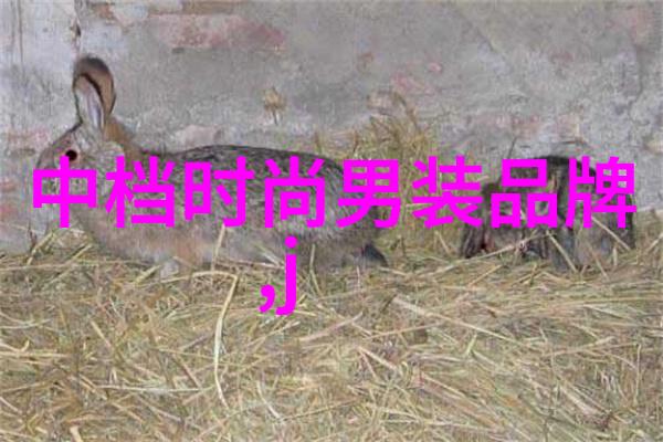 包包女包我的奢华日常伙伴