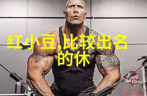 夏日优雅女装夏装新款连衣裙鉴赏