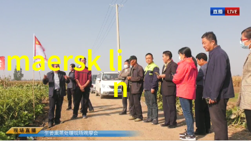 时尚腕表引领潮流的新选择