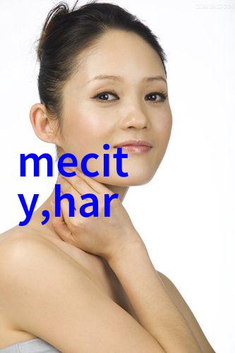 男士手表优雅与功能的完美结合