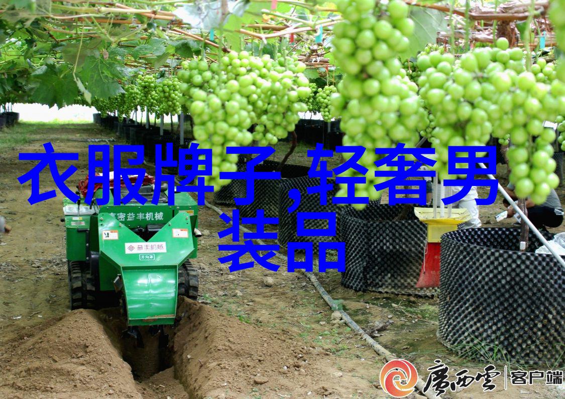 时尚边界什么是适合年轻男生的T恤颜色搭配
