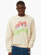 FIORUCCI