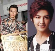 娱乐圈疑似整容过度的10大男星