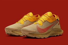 Nike Pegasus Trail 2跑鞋全新ORE-TEX版曝光