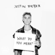 Bieber狂晒巨星朋友圈 超模女星为他甘当绿叶