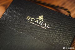 男士正装与西服专栏 篇十一汽车品牌