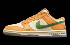 耐克 x Florida AM 全新联乘 Dunk Low 鞋款