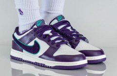 耐克 Dunk Low 全新Chenille Swoosh配色鞋款