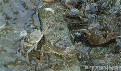 KADUNI卡度尼男装 运动时刻更要出众