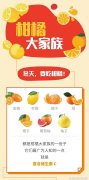 丹顿 秒变型男 魅力全开 春季新品上