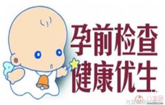 神话与现实交织Jinnnn的存在之谜