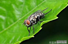 教师面试鞋子大忌-面试教师的鞋子的