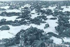 宝可梦朱紫男生如何挑选合适的服装