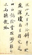 运动装的种类有哪些