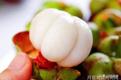 潮男时尚新选择一款让你轻松成为潮