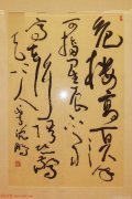 星光2璀璨星空下的神秘之旅