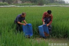 男士衣服搭配软件app哪个好-时尚男士
