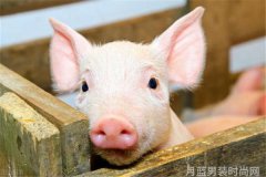 女童鞋的时尚风格