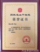 紧身衣的潮流解析如何挑选最适合你
