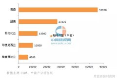 篮球界的传奇教练乔丹