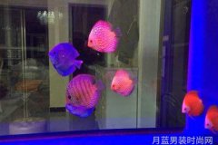 手工艺品闪耀个性的吊坠制作之旅