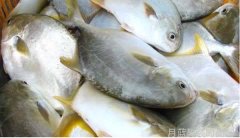 腰包品牌的质量保证如何确保产品的