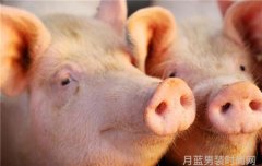 时尚潮流休闲服的百变风格