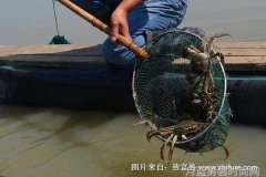 旌泷服饰设计简约自然注重为大众消费者打造时