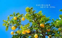 短袖男士t恤夏日潮流短袖男士t恤