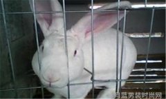嘉禾利莎 都市轻熟男职场穿搭 内卷稳赢 nbsp