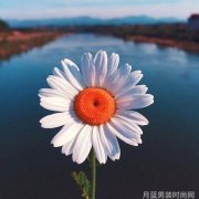 梅林四季山水-四季流转 梅林山水间的诗意画卷