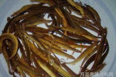 梅林固件的升级之路我们一起走