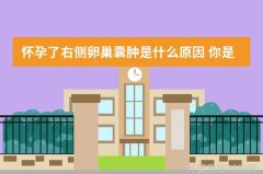 桑塔纳2022款价格与图片的奇幻之旅