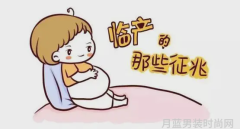 樱花草社区高清视频在线观看让您的网络生活更