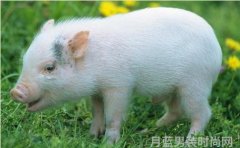 杰克琼斯羽绒服-时尚潮流与保暖的完美结合
