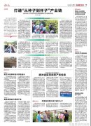 男士衣服穿搭技巧提升男士形象的穿搭宝典