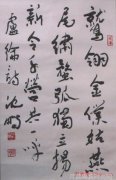 阿玛施女装女王大人您的时尚魔法已经生效