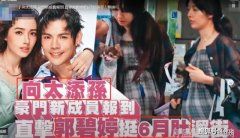 宝可梦朱紫男生服装搭配新潮流展现独特风格
