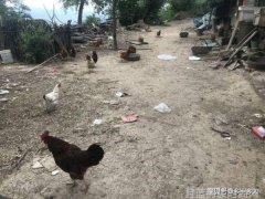 潮流前沿型男着装秘籍大揭秘
