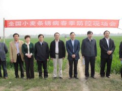 时尚潮流的点缀探索时尚的配饰世界