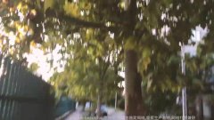 神秘城堡的失踪贵族揭秘比利时隐藏的秘密